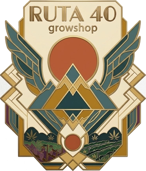 Black Runtz Seed Drop — LIT Farms