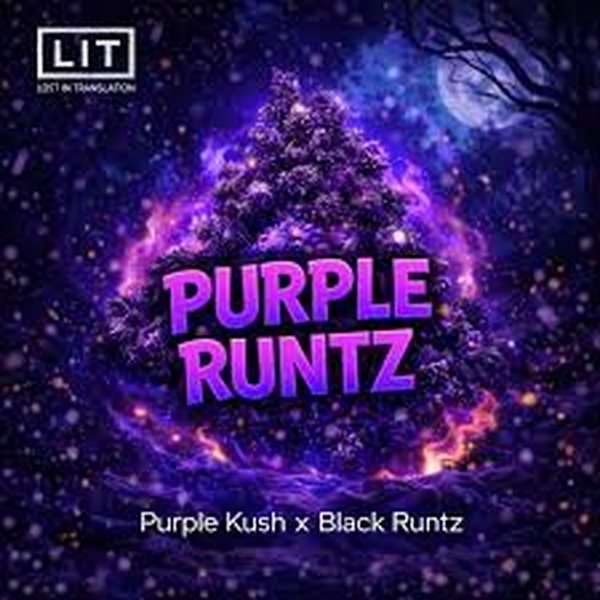 Purple Runtz — LIT Farms